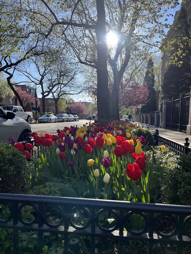 Monday, 4/22/24: Talking about things that could be rest