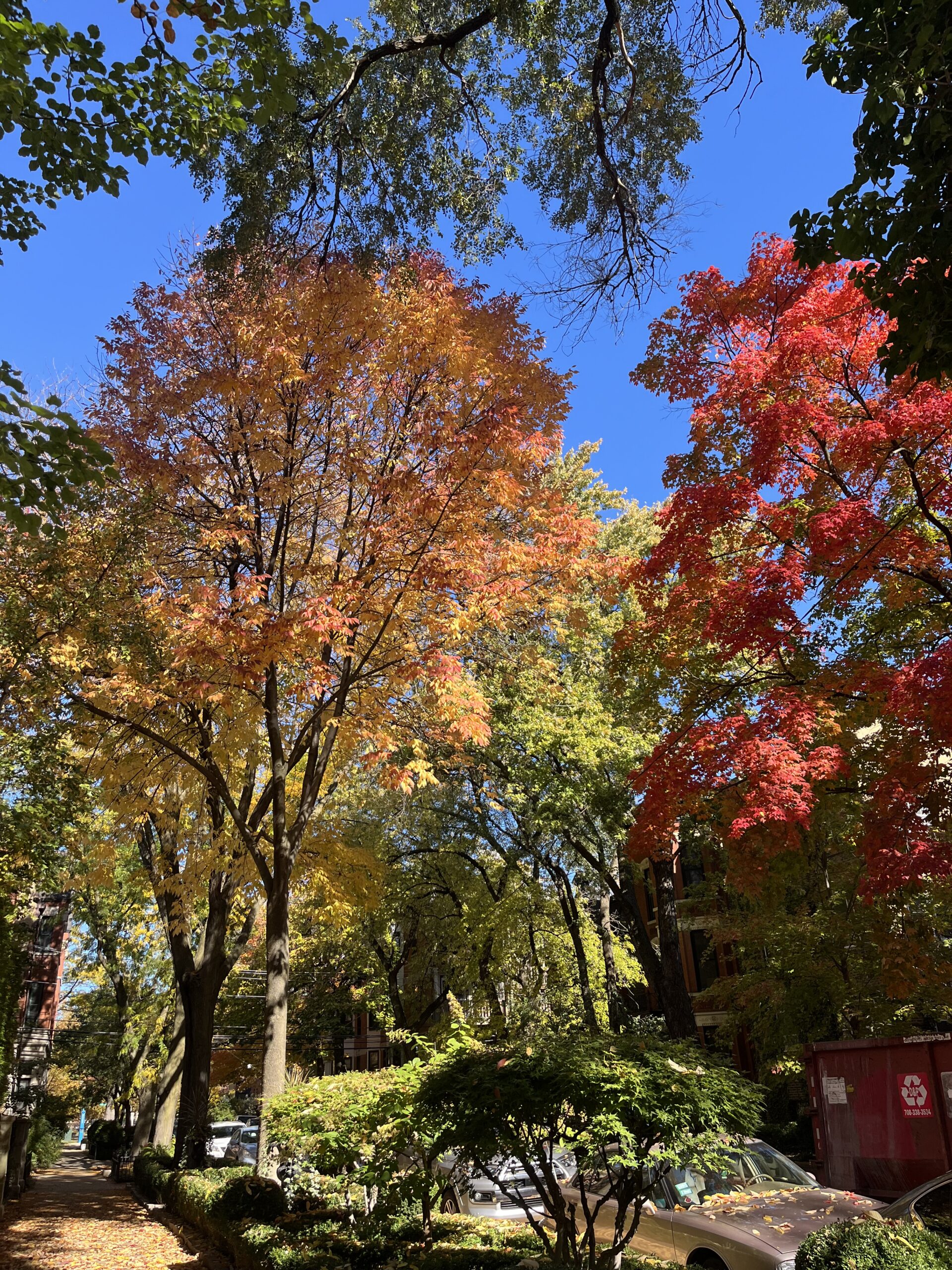 Monday, 11/4/24: Talking about November planning