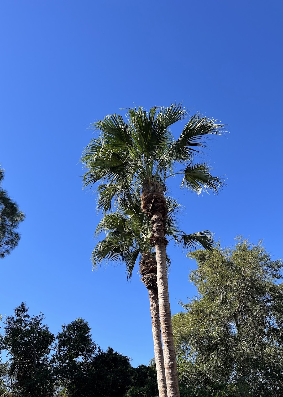 Monday, 12/2/24: Talking about December planning