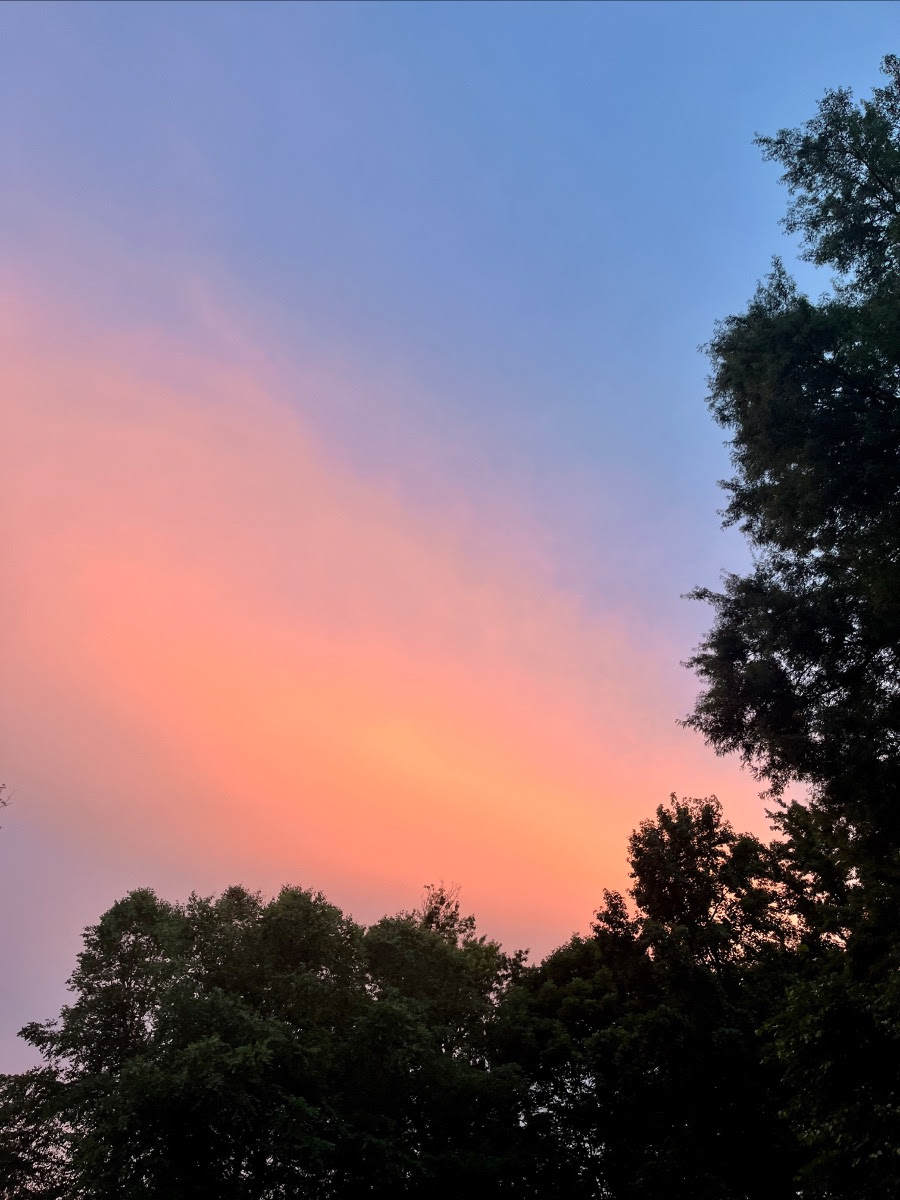 Monday, 7/21/25: Talking about a first & second trimester recap